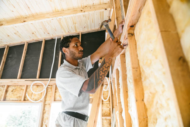 Best Attic Insulation Installation  in Newtown, OH